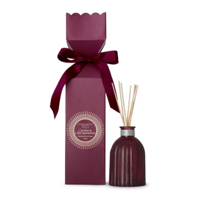Champagne & Red Raspberries mini diffuser