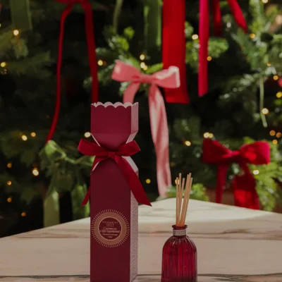 Alternative view of Peppermint Grove Champagne & Red Raspberries | Mini Diffuser Bon-Bon 100ml